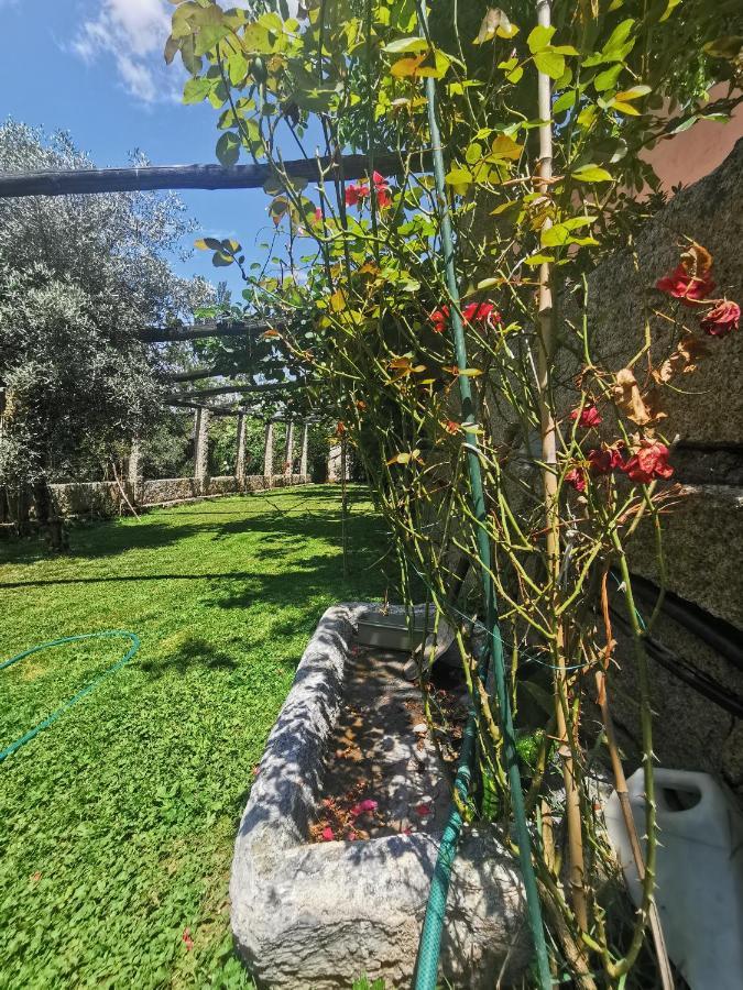 Exclusiva Casa Rural Mariano Con Acceso Directo Al Rio Baralla Dış mekan fotoğraf