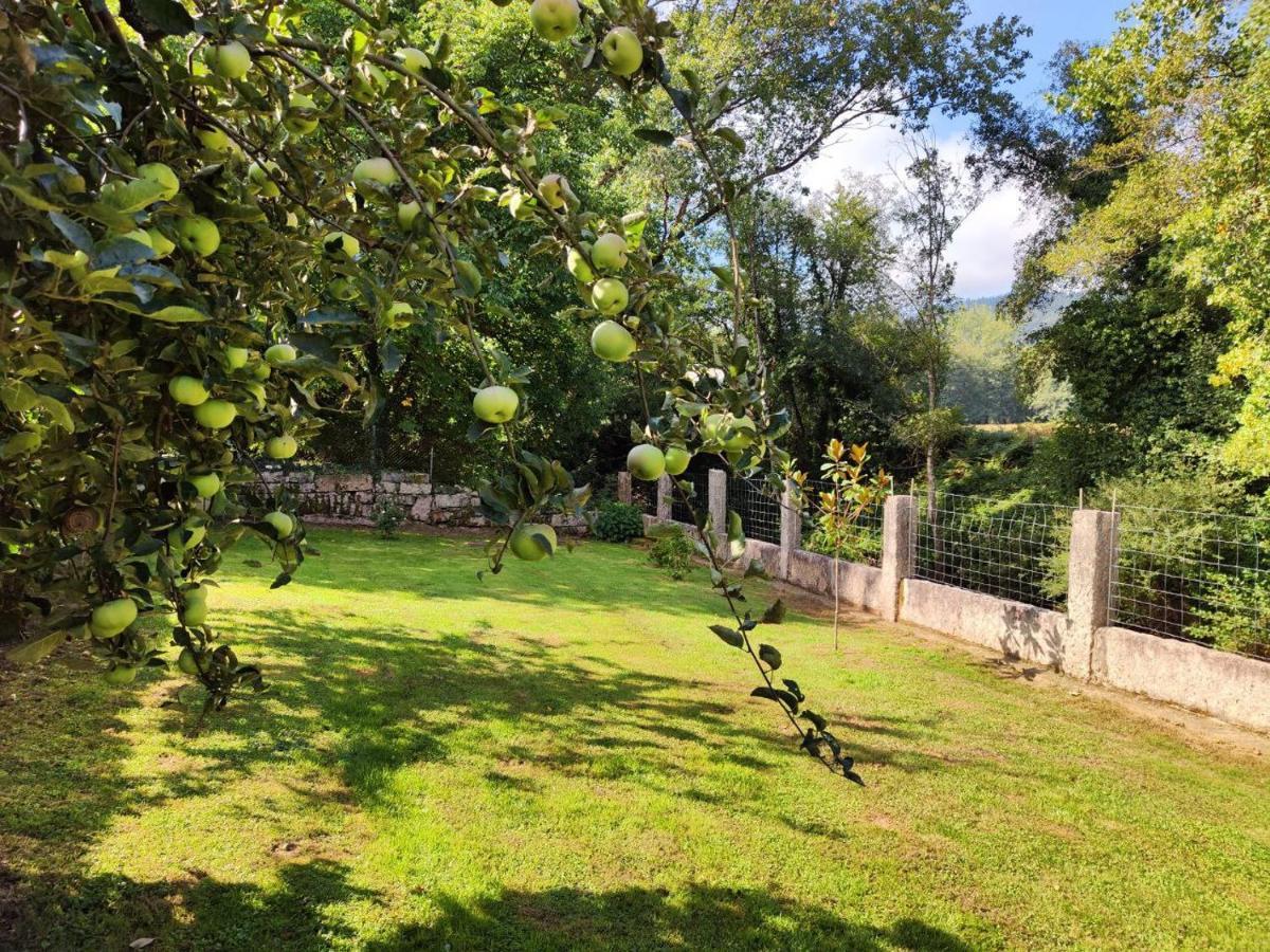Exclusiva Casa Rural Mariano Con Acceso Directo Al Rio Baralla Dış mekan fotoğraf