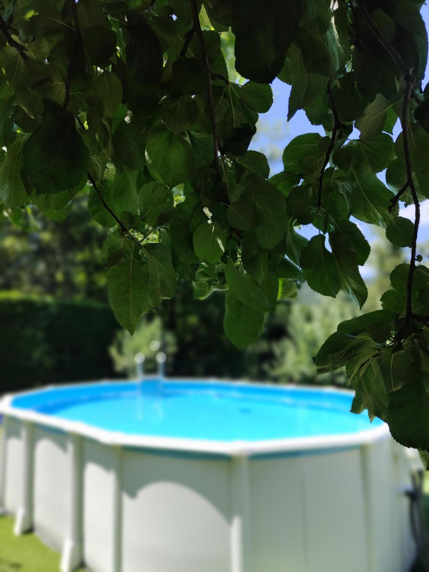 Exclusiva Casa Rural Mariano Con Acceso Directo Al Rio Baralla Dış mekan fotoğraf